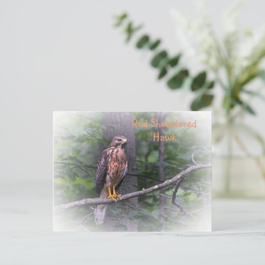 Red Shoulked Hawk Briefkaart (Staand voorkant)