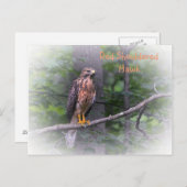Red Shoulked Hawk Briefkaart (Voorkant / Achterkant)