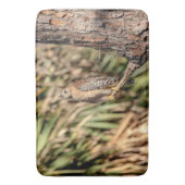 Red Shoulked Hawk in een boom Badmat (Voorkant Verticaal)