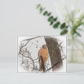 Red Shoulked Hawk in een boom Briefkaart (Staand voorkant)