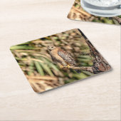 Red Shoulked Hawk in een boom Kartonnen Onderzetters (Schuin)