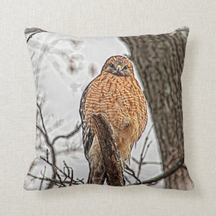 Red Shoulked Hawk in een boom Kussen