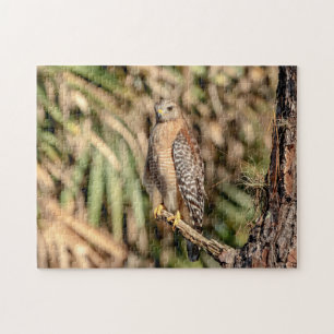 Red Shoulked Hawk in een boom Legpuzzel