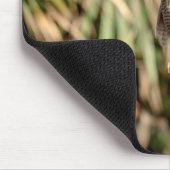 Red Shoulked Hawk in een boom Muismat (Hoek)