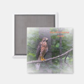 Red Shoulked Hawk Magneet (Voorkant / Achterkant)