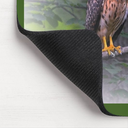 Red Shoulked Hawk Muismat (Hoek)