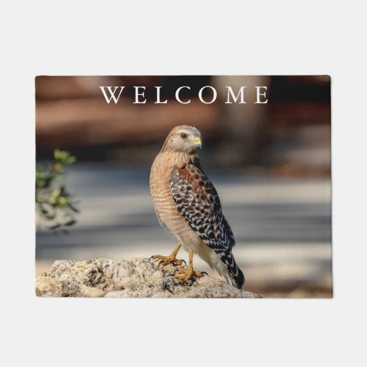 Red Shoulked Hawk op een rots Deurmat (Voorkant)