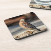 Red Shoulked Hawk op een rots Drankjes Onderzetter (Linkerzijde)