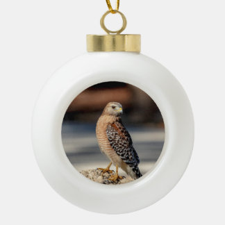 Red Shoulked Hawk op een rots Keramische Bal Ornament