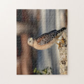 Red Shoulked Hawk op een rots Legpuzzel (Verticaal)