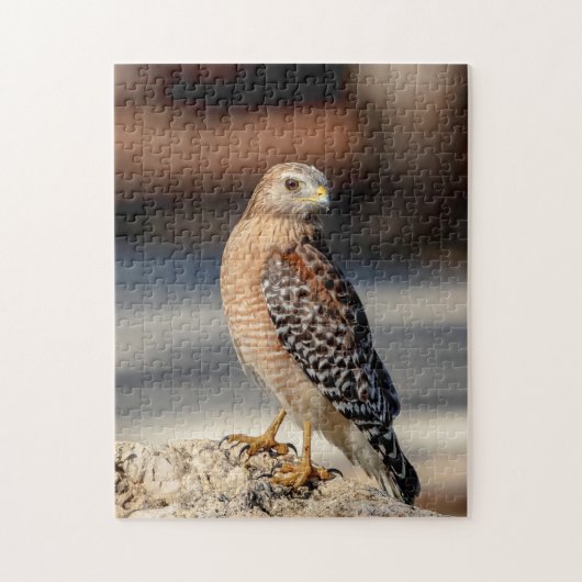 Red Shoulked Hawk op een rots Legpuzzel (Verticaal)