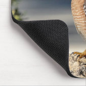 Red Shoulked Hawk op een rots Muismat (Hoek)