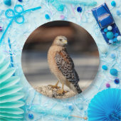 Red Shoulked Hawk op een rots Papieren Bordje (Feest)