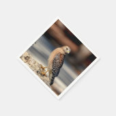 Red Shoulked Hawk op een rots Servet (Hoek)