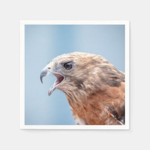 Red Shoulked Hawk op een rots Servet