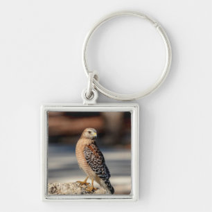 Red Shoulked Hawk op een rots Sleutelhanger