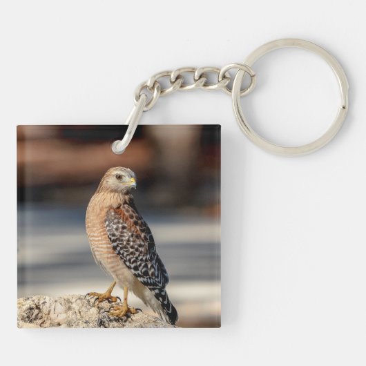 Red Shoulked Hawk op een rots Sleutelhanger (Achterkant)