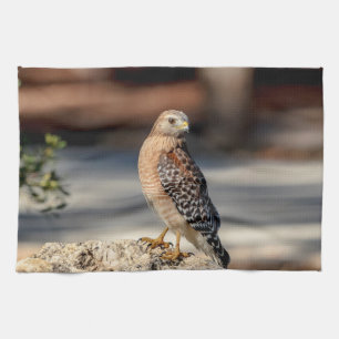 Red Shoulked Hawk op een rots Theedoek