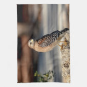 Red Shoulked Hawk op een rots Theedoek (Verticaal)