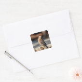 Red Shoulked Hawk op een rots Vierkante Sticker (Envelop)