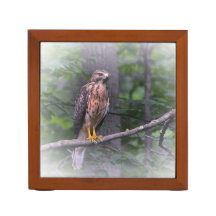Red Shoulked Hawk