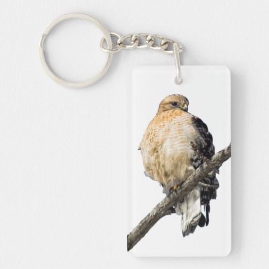 Red Shoulked Hawk Sleutelhanger (Voorkant)