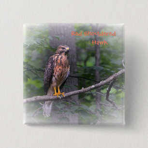 Red Shoulked Hawk Vierkante Button 5,1 Cm