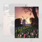 Red Silhouette van windmolen en tulpen, Washington Briefkaart (Voorkant / Achterkant)