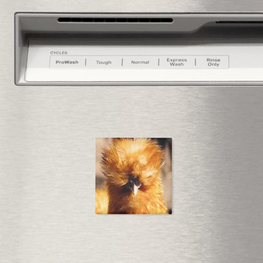 Red Silkie Chicken Hen Magneet (Insitu (Vaatwasser))