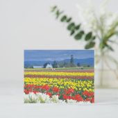 Red Skagit Valley, Mount Rainier, Washington, VS Briefkaart (Staand voorkant)