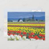 Red Skagit Valley, Mount Rainier, Washington, VS Briefkaart (Voorkant / Achterkant)