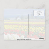 Red Skagit Valley, Mount Rainier, Washington, VS Briefkaart (Achterkant)