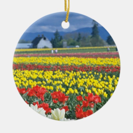 Red Skagit Valley, Mount Rainier, Washington, VS Keramisch Ornament (Voorkant)