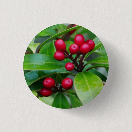 Red Skimmia Berries Badge Ronde Button 3,2 Cm (Voorkant)