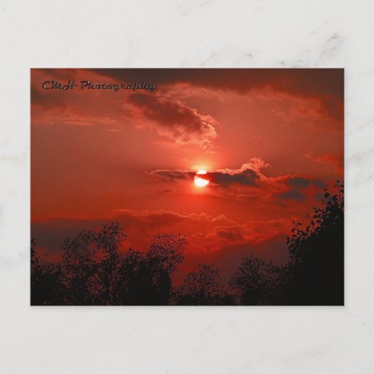 Red Sky Briefkaart (Voorkant)