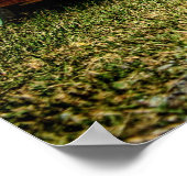 Red Sled Poster (Hoek)