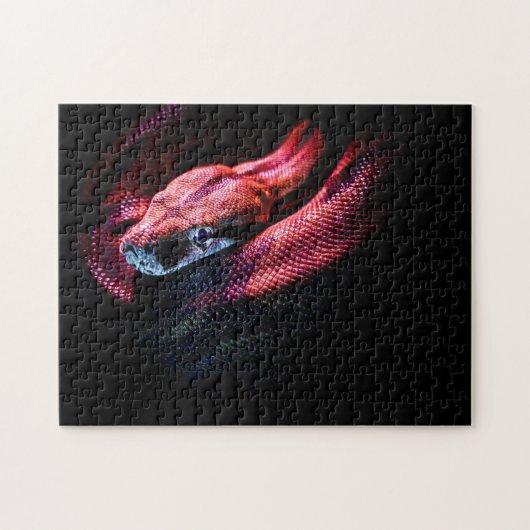 Red Snake on Black - HD Photo Puzzle Legpuzzel (Horizontaal)