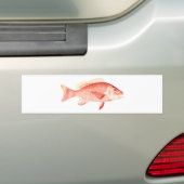 Red Snapper Bumpersticker (Op auto)