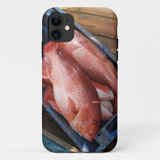 Red Snapper Fish iPhone 5 Case-Mate iPhone Case (Achterkant)