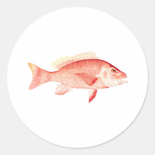 Red Snapper Ronde Sticker