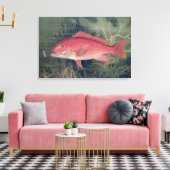 Red Snapper uit 'Game Fishes' van de Verenigde Sta Canvas Afdruk (Insitu (Woonkamer))