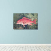 Red Snapper uit 'Game Fishes' van de Verenigde Sta Canvas Afdruk (Insitu (Houten vloer))