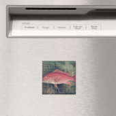 Red Snapper uit 'Game Fishes' van de Verenigde Sta Magneet (Insitu (Vaatwasser))