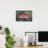 Red Snapper uit 'Game Fishes' van de Verenigde Sta Poster (Thuiskantoor)