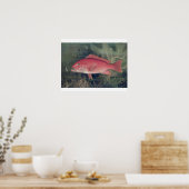 Red Snapper uit 'Game Fishes' van de Verenigde Sta Poster (Keuken)