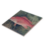 Red Snapper uit 'Game Fishes' van de Verenigde Sta Tegeltje (Zijkant)