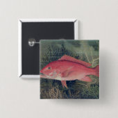 Red Snapper uit 'Game Fishes' van de Verenigde Sta Vierkante Button 5,1 Cm (Voorkant /achterkant)