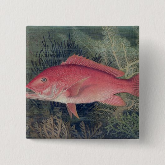 Red Snapper uit 'Game Fishes' van de Verenigde Sta Vierkante Button 5,1 Cm (Voorkant)