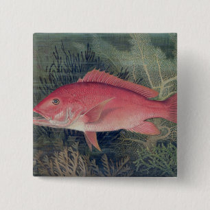 Red Snapper uit 'Game Fishes' van de Verenigde Sta Vierkante Button 5,1 Cm