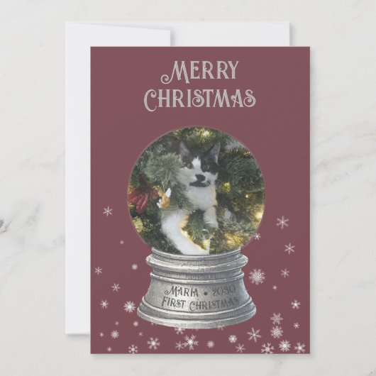 Red Snowglobe Snowflake Foto Flat Holiday Kaart (Voorkant)